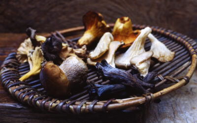 Wodorosty, grzyby, ryby: sekrety „umami” w kuchniach świata